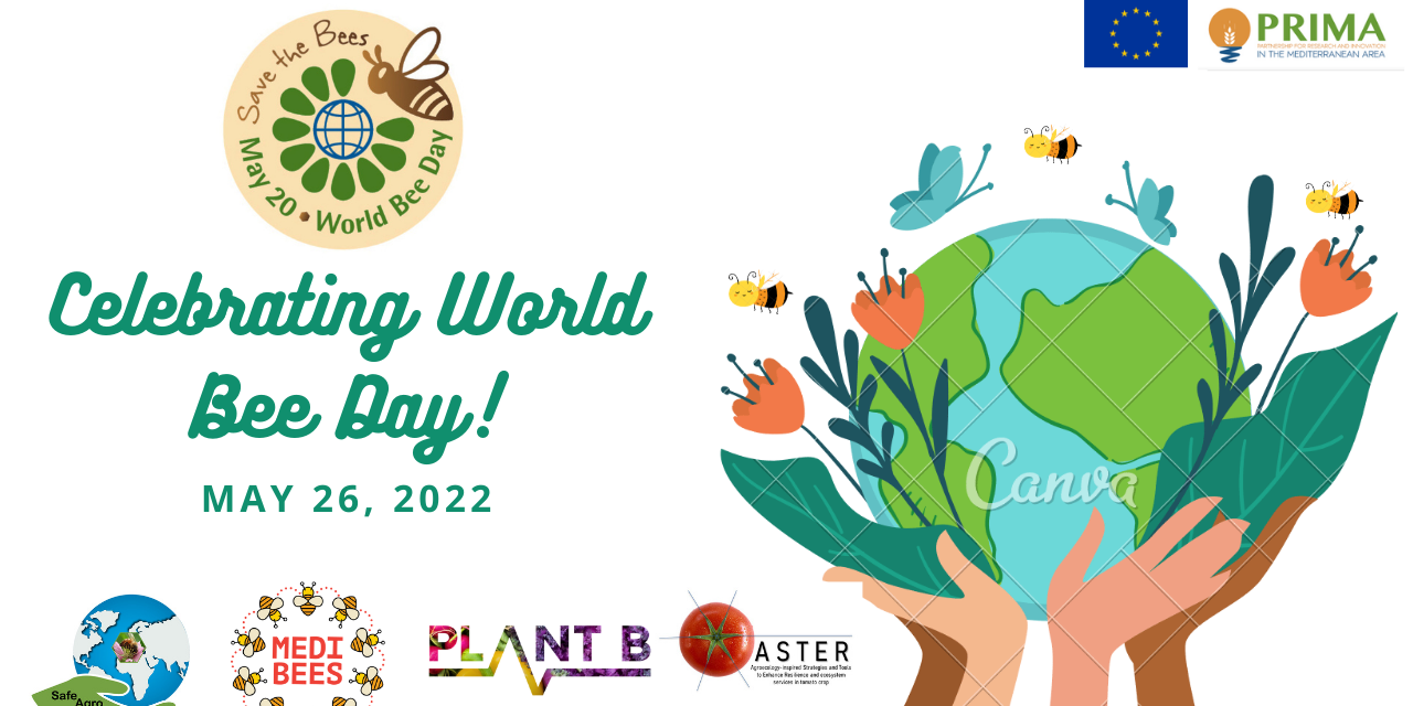 SafeAgrobee, PLANT B and MEDIBEES celebrate the World Bee Day